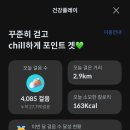 라플 티스토리