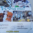 청초랑 북카페 이미지