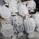 파프리카 조형물 이미지