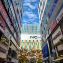 세종월드프라자 | 부산 해운대 에스테틱 MTS피부관리 모어스킨