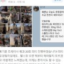 임*숙 - 안양시 동안구 시민대로327번길 | 임*숙