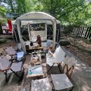 소나무숲아래 이미지