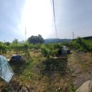 치상농장 이미지