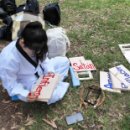 TIA 태권도 이미지