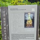 황정리 대흥사 앞 | 단양 가볼만한 곳 - 사인암