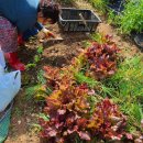 영진카센터 이미지