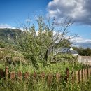 경상남도 산청군청 이미지