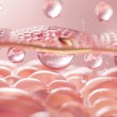 경희림다한의원 이미지