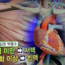 동맥경화,심근경색,부정맥,심방세동/오미자청혈차,유채꽃씨유/atrial fibrillation/기치유센터 이미지