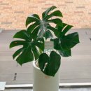 신대게임랜드 이미지