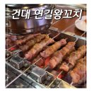 연길양꼬치 | 건대맛집 연길왕꼬치 양꼬치거리 맛집 후기