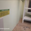 황금 키즈카페 이미지