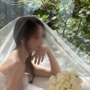 포엠플레르 이미지
