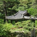 고운세상 이미지