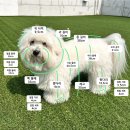 아이멍그라운드 이미지