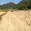 계수농장 이미지