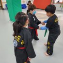 진영 실전합기도 이미지