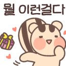 코코힐