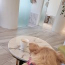 웨스턴5빌딩 이미지