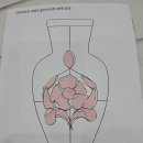 스테인드글라스 유리공예 | 글라스아트 화병 만들기: 필름지 이용한 스테인드글라스 공예 후기