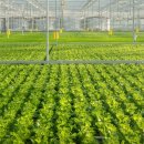 케이에스팜(주) 이미지