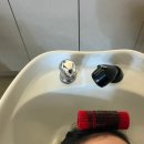 이주헤어 - 안양시 동안구 | 진월동미용실 디오헤어 앤 헤드스파 이주 하이레이어드펌 솔직후기
