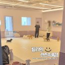 아소비 퍼피스 서창점 이미지