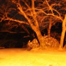 남양1리 사곡 경로당 이미지