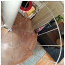 사미정민박 이미지