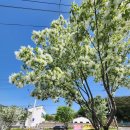 해비치공인중개사사무소 이미지