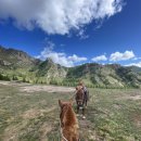 주식회사 인덕원승마스쿨 | [승마일기] 인덕원승마스쿨 호스피아 힐링승마 1회차 OT