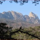 이준열사 묘역 앞 화장실 이미지