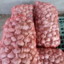 삼창농장 이미지