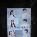 넘버25 신도림점 | 뮤지컬 베르테르 25주년 공연 관람후기 - 양요섭&amp;이지혜 페어, 발하임 우체국 shop 굿즈