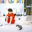 성남2길 10, (성남동) | 울산 고양이카페 루이캣 성남동 아이랑 놀거리 실내 데이트 코스