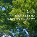 선문복사 이미지