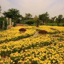 가야농장 이미지