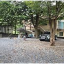 영월힐링숲펜션 이미지