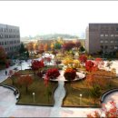 네트웍소프트 이미지