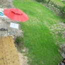 대대리 민박 이미지