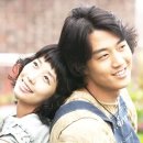 옥탑방 고양이 이미지