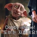 쿠스카페 이미지