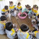 사등유치원 이미지