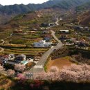 화개초등학교왕성분교 이미지