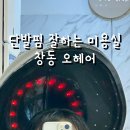 창동 단발펌 잘하는 미용실 오헤어 볼륨매직 후기