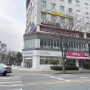 전주 효자동 미용실 헤어웰 효자점 붉은기 노란기 없는 올리브 브라운 염색 후기
