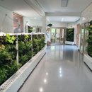 월아산 우드랜드 이미지