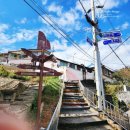 발한동 묵호역사거리 ↔ 발한삼거리 | 墨湖의 地名과 來歷