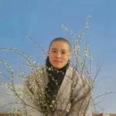 꽃차&약선차 이미지