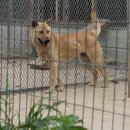 진태농장 이미지